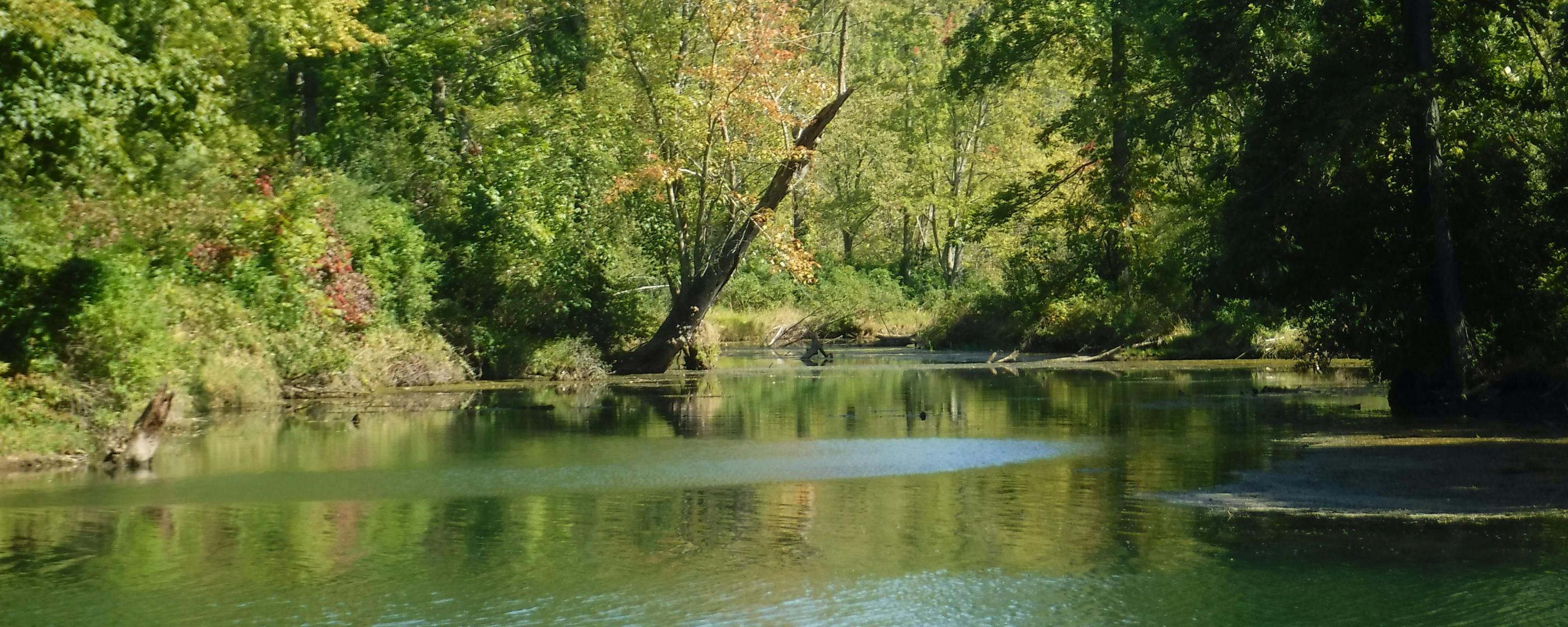 Pastoraler Raum Dillingen